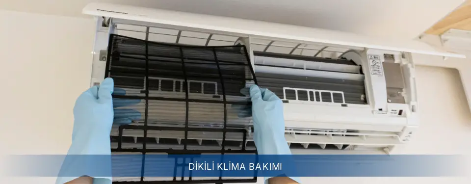 Dikili İlçemi Electrolux Klima Bakımı
